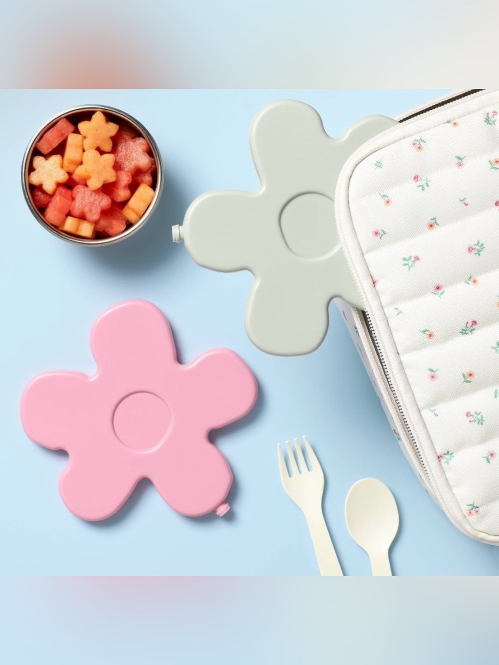 Lunchbox Ice Packs - Flowers, Dinosaurs, Strawberries, or Cowboy - Picture 1 of 11